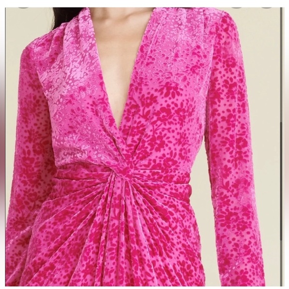 NWT Veronica Beard Ruthie Burnout Magenta Velvet Dress Gown Size 4 Women - Picture 4 of 7